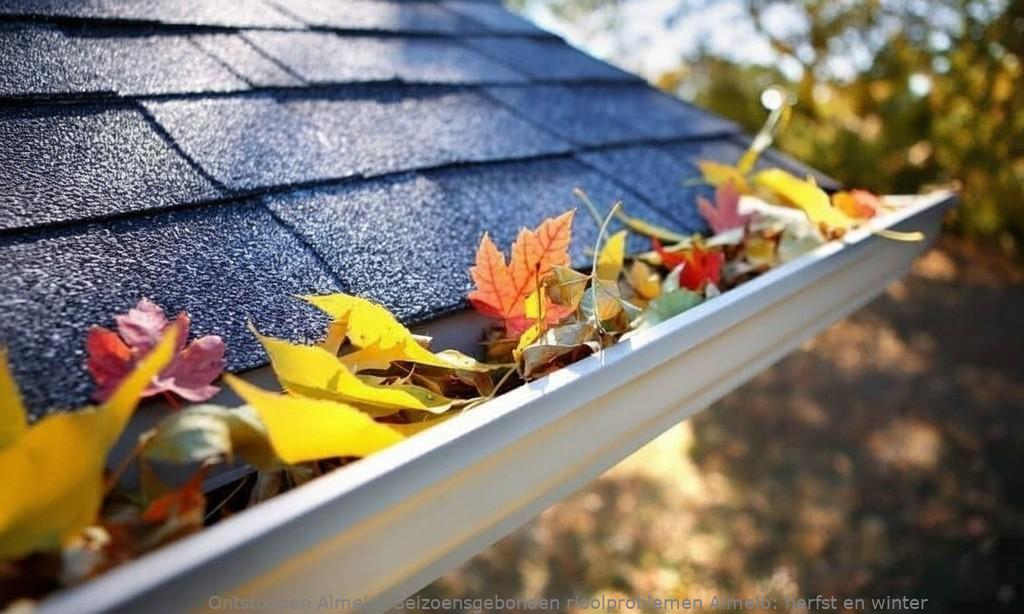 Seizoensgebonden rioolproblemen Almelo: herfst en winter